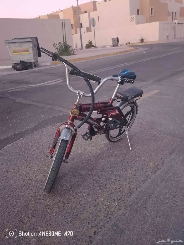 سيكل رامبو عنابي 4