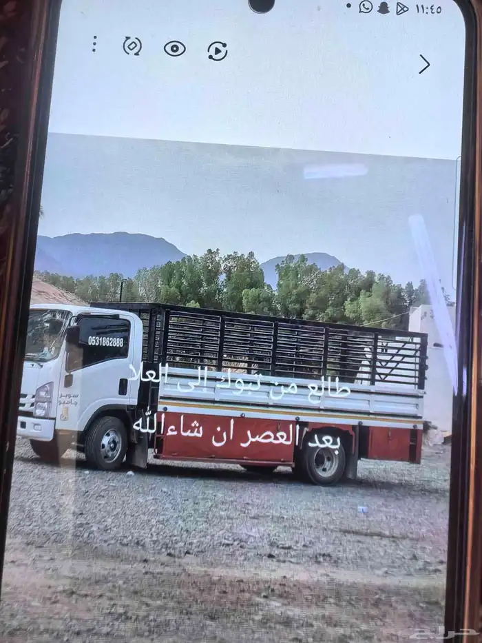 ديانا شبك 5متر 2023 لنقل متواجد في تبوك 0