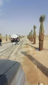 مقول نخل وشبوك مزارعه وتنفيذ مستودعات 8