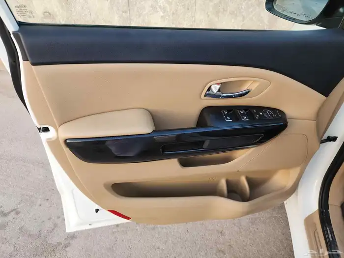 كيا كرنفال  2018  ممشي 195 الف 8