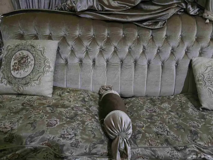 كنب تركي مستعمل السعر 600 للجادين فقطط 0