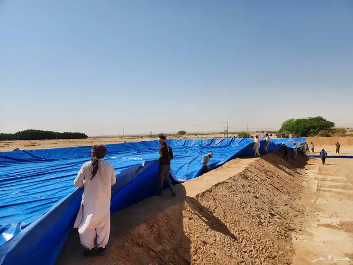 شراع اسماك  شراعات بحيرات تجميع مياه واحواض زراعية 1