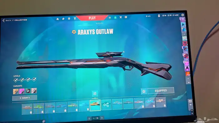 Valorant account (100 Skins) 17