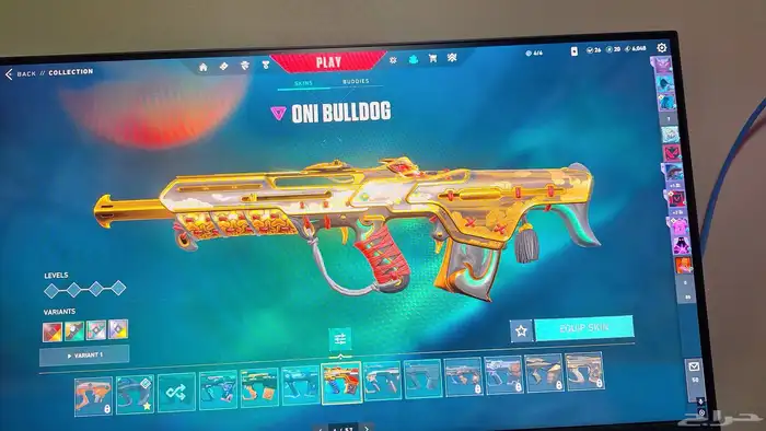 Valorant account (100 Skins) 16