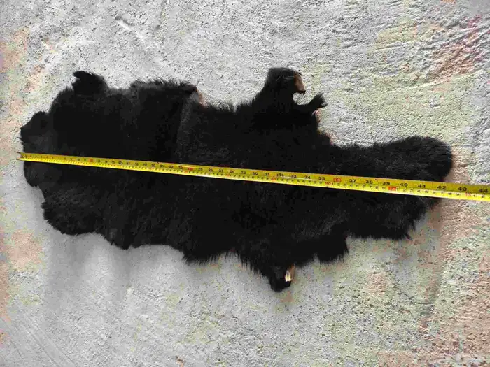 جاعد طبيعي اسود 2