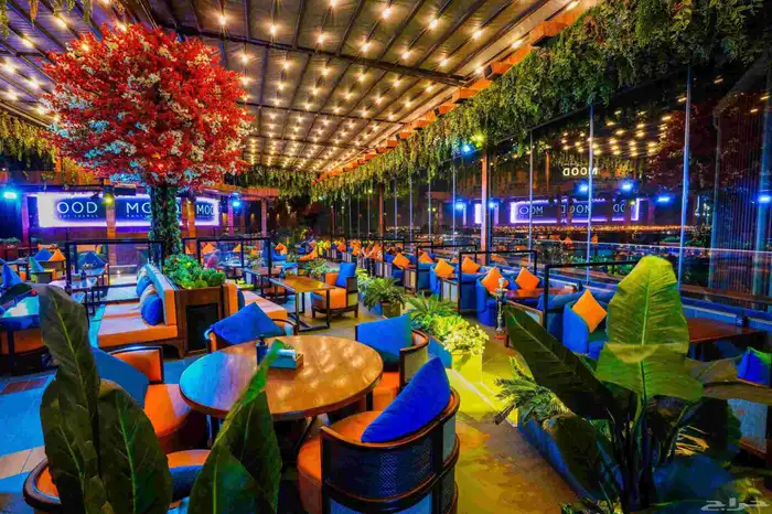 مدير مطعم . مدير تشغيل لاونج كافيه مطاعم عام خبرة كبيرة 1