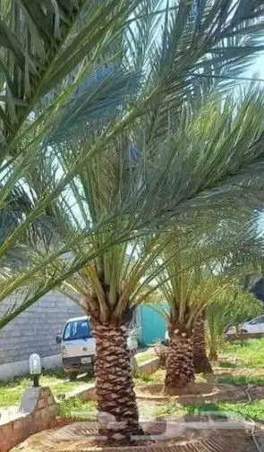 جميع المقاولات 1