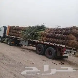 مقول نخل وشبوك مزارعه وتنفيذ مستودعات 4