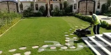 يوجد جميع انواع الاشجار والنباتات يوجد تيل طبيعي يوجد صيانية 2