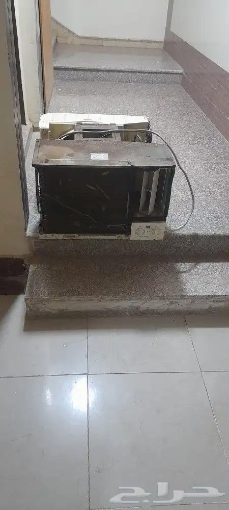 ابو عريش العسيلة 1