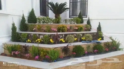 يوجد جميع انواع الاشجار والنباتات يوجد تيل طبيعي يوجد صيانية 4