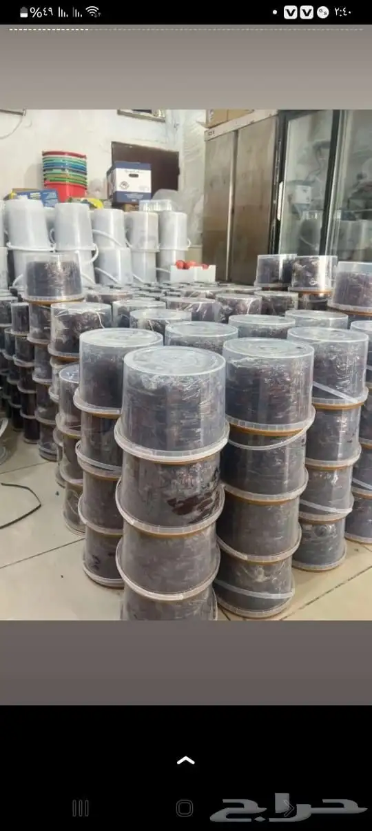 تمور حائل الفاخره 8