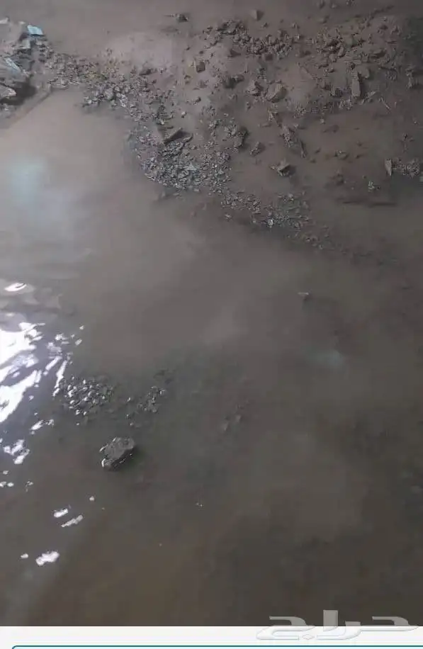 تنظيف كنب سجاد وشقق فلل مكيفات خزانات عزل رش حشرات 5