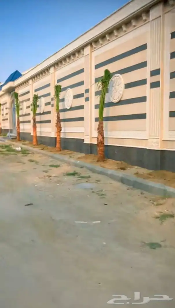 يوجد لدينا جميع انواع النخيل العربي والواشنطن بكل المقسات 8