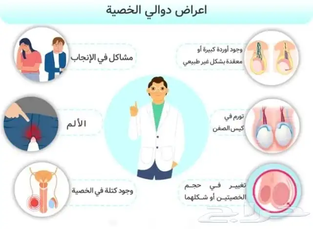 زيت دوالي الخصية والساقين 1