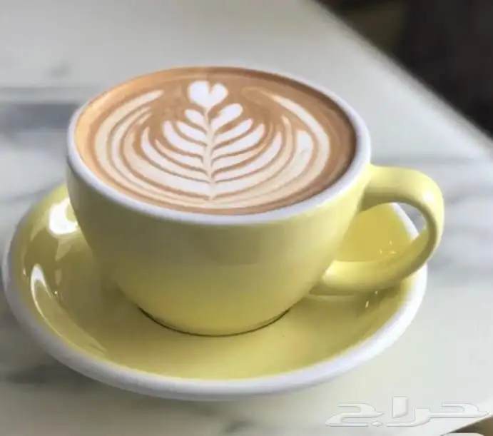 مدير مطعم . مدير تشغيل لاونج كافيه مطاعم عام خبرة كبيرة 0