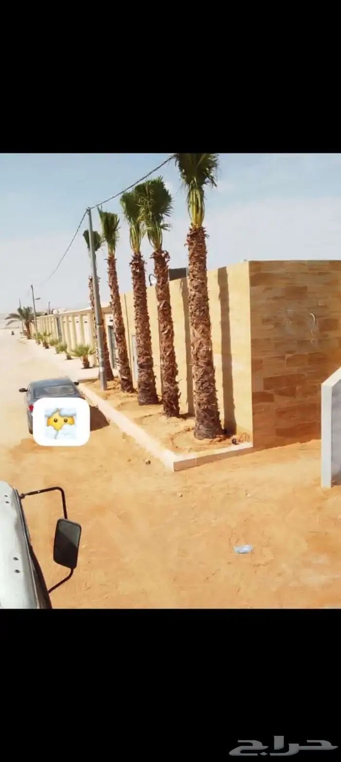 جميع اعمال النخيل الواشنطن والعربي وانواع الشبوك والسياج.. 12