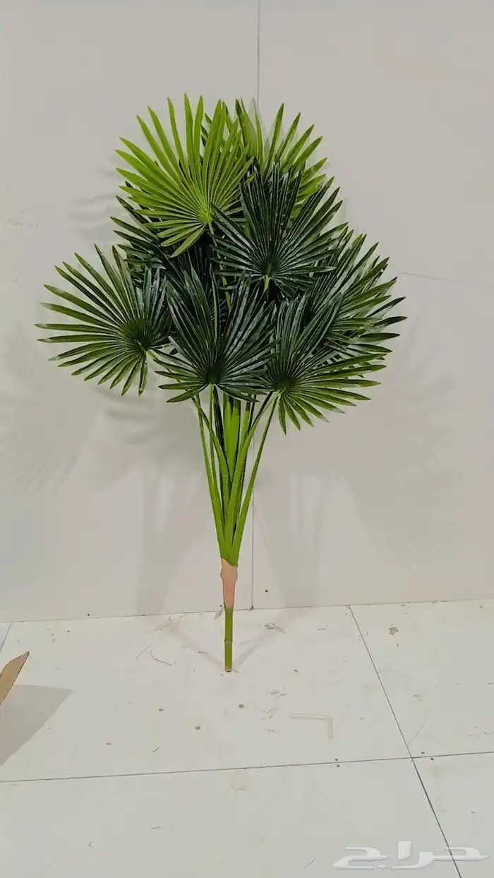 تنسيق حدائق القصيم عشب صناعي عشب طبيعي غرف زجاجيه 5