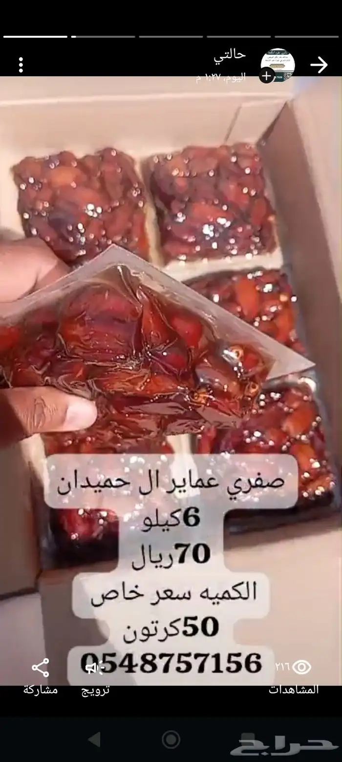 تمر صفري بيشه 7