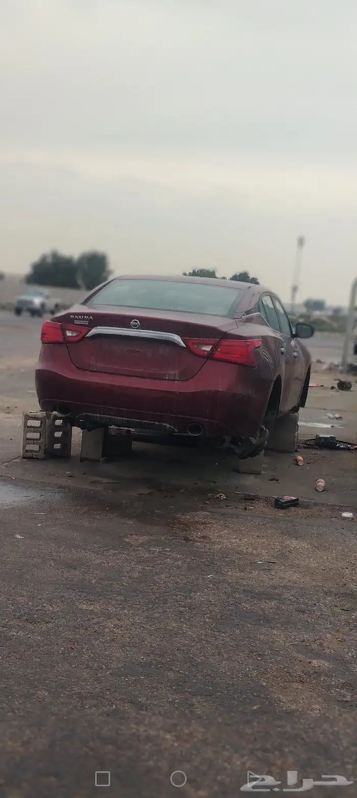 نيسان مكسيما 2017 1