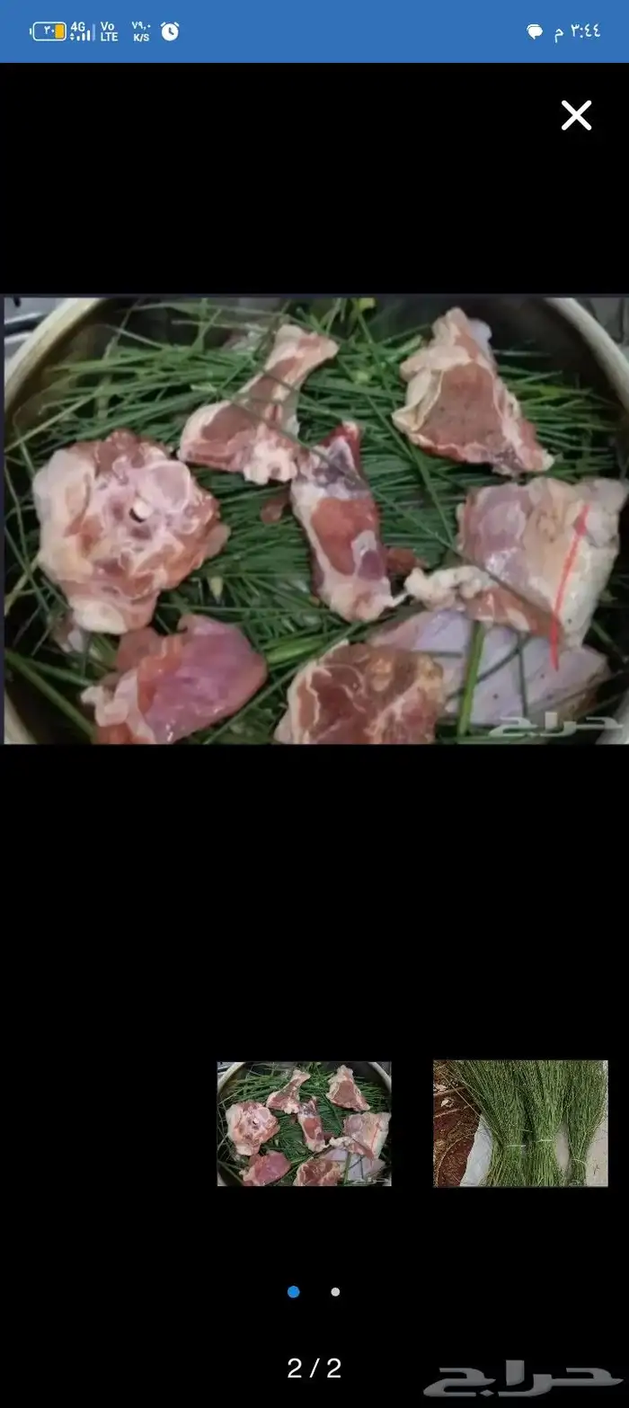 مرخ طازج للبيع 0