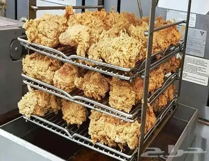 مطلوب مموال لفتح.مطعم.وجبات سريعه مع شيف متخصص في البروست 0