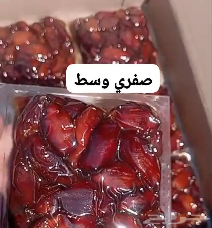 تمر صفري بيشه 4