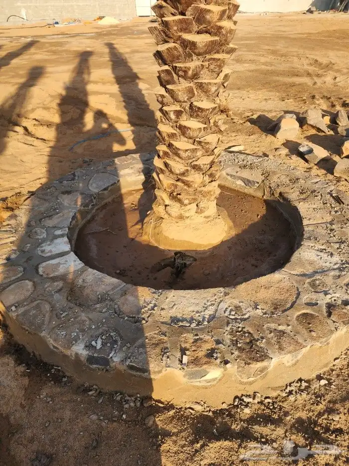 معلم حجر رباريب مماشي قوايم تلابيس جدران 3