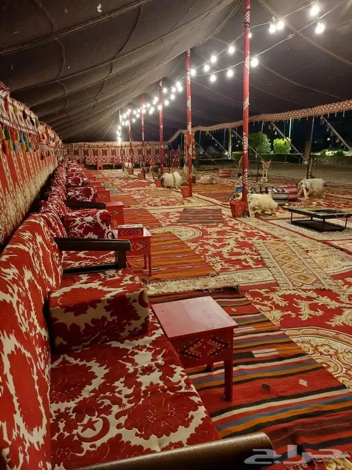 كنب جلسات خارجيه جلسات داخلية جلسات عشب جلسات ثيل جلسه جلسة 1