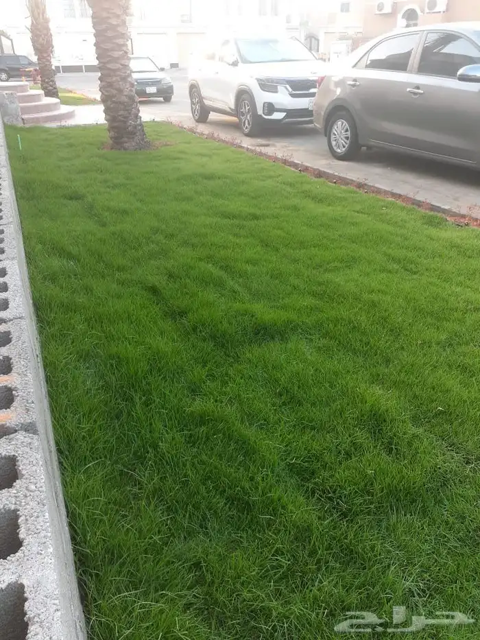 تنسيق حدائق القصيم عشب صناعي عشب طبيعي غرف زجاجيه 1