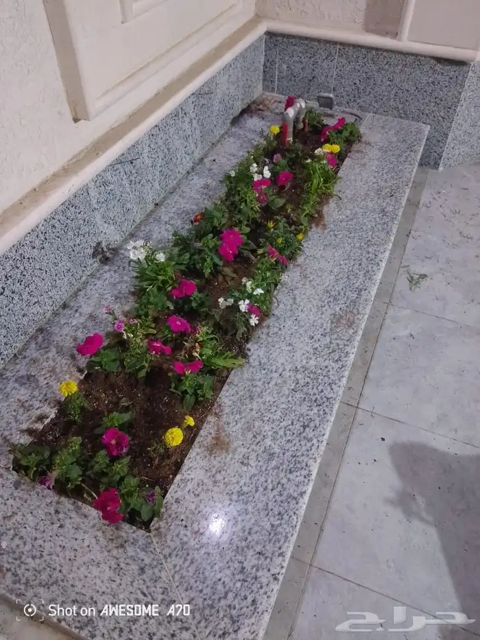 تنسق حدائق وشبكه الرأي 9