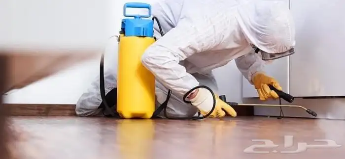 شركة مكافحة حشرات بالطايف رش مبيدات جميع الحشرات بالطايف 0