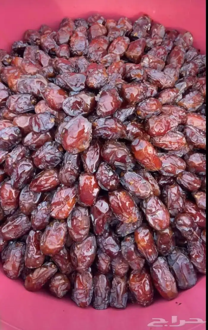 تمور حائل الفاخره 1