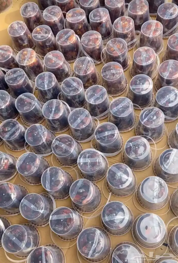 تمور حائل الفاخره 5