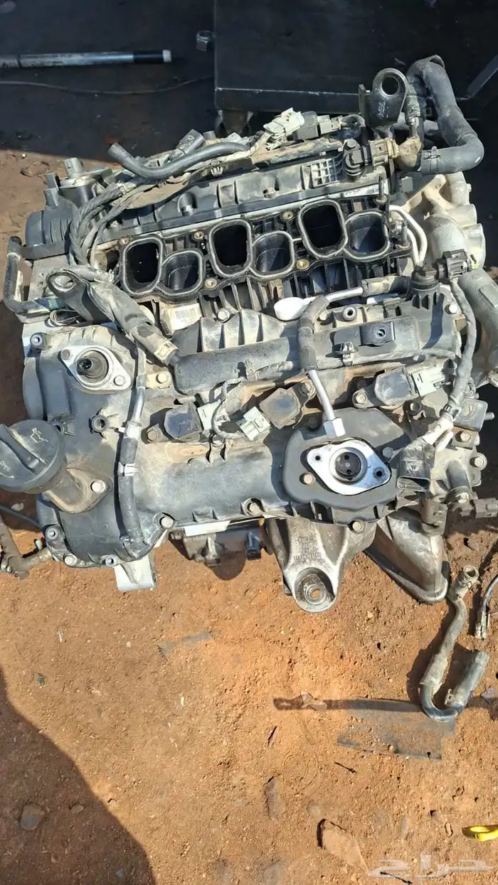 مكينه جنسس كادينزا ازيرا اوبتيما 0