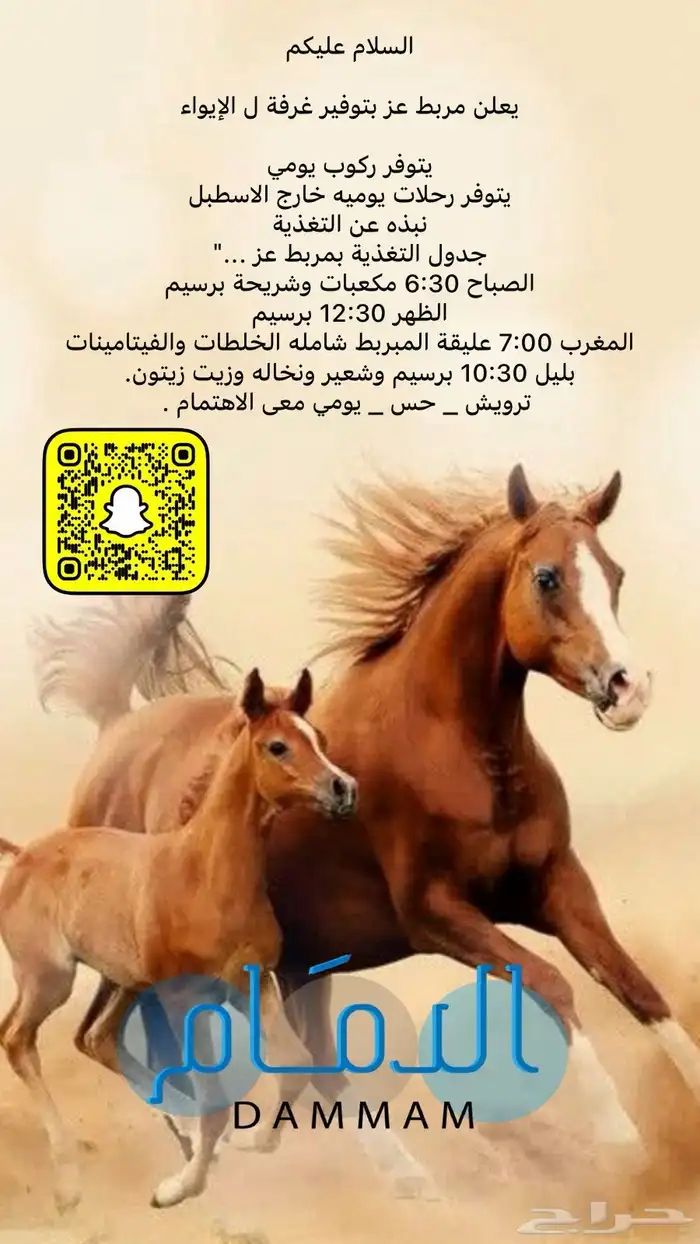 يوجد غرف خيل ايوا 0