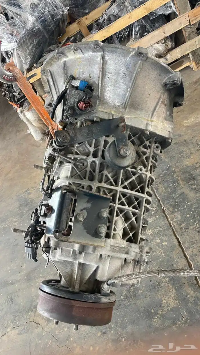 دينا اسوزو 5