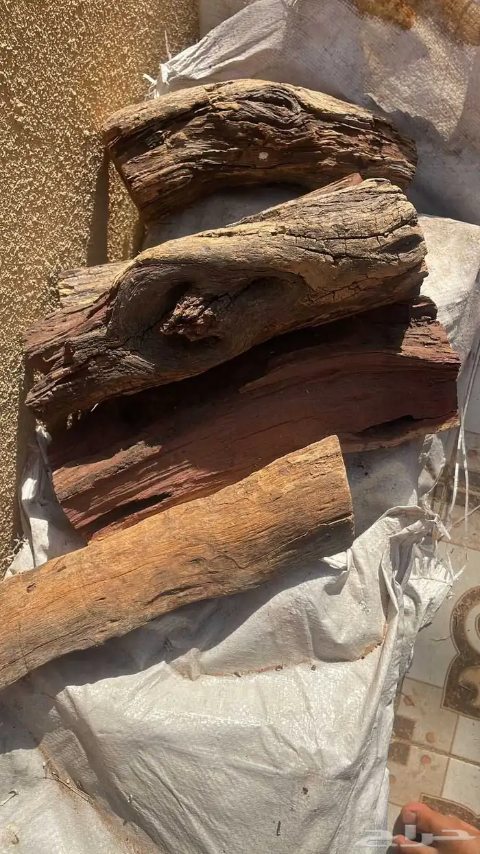 حطب الفريقي مستورد 1