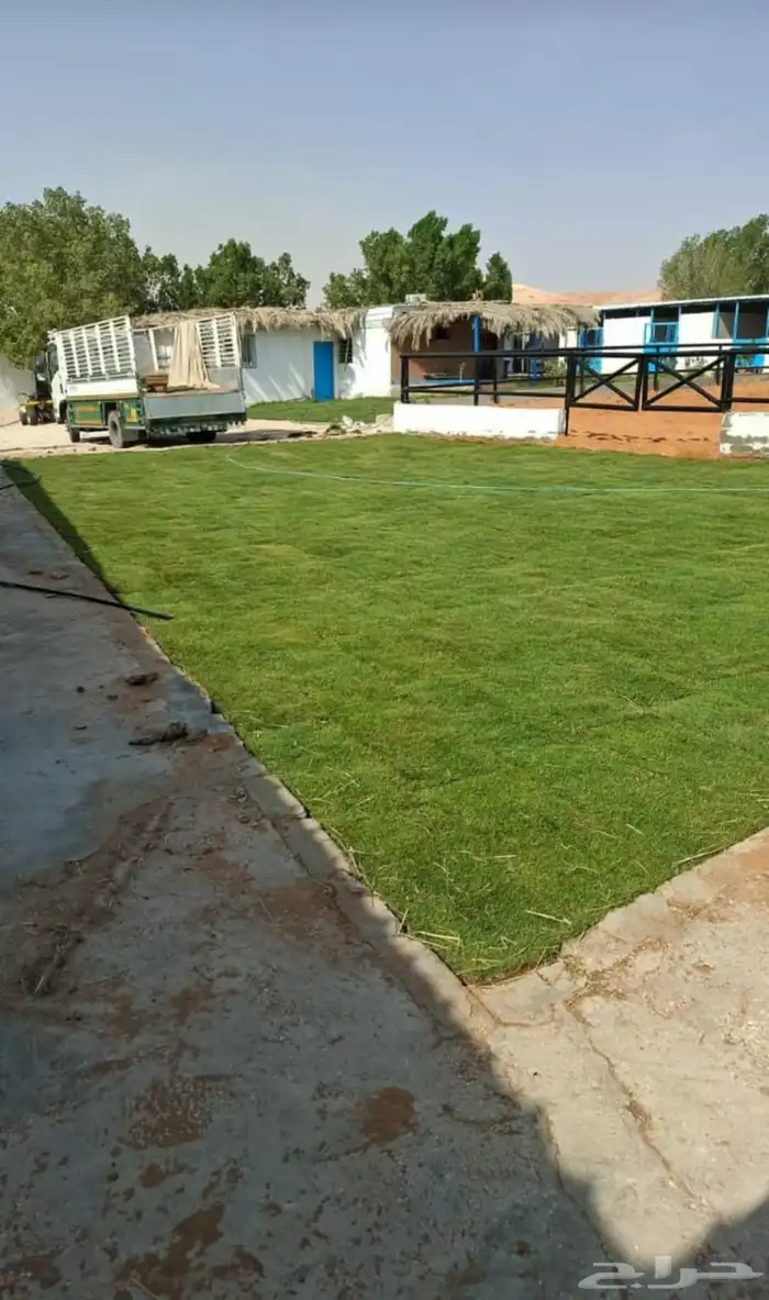 ثيل طبيعي سي الفين درجه اولي صافي من اي شي للملاعب الحدايق 0