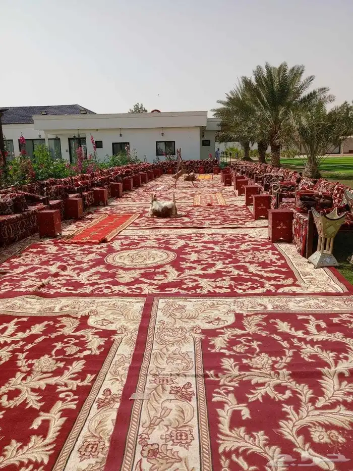 كنب جلسات خارجيه جلسات داخلية جلسات عشب جلسات ثيل جلسه جلسة 0