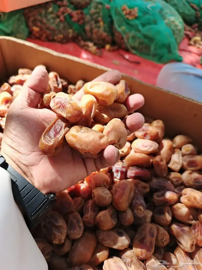 إخلاص حبه كبير 0