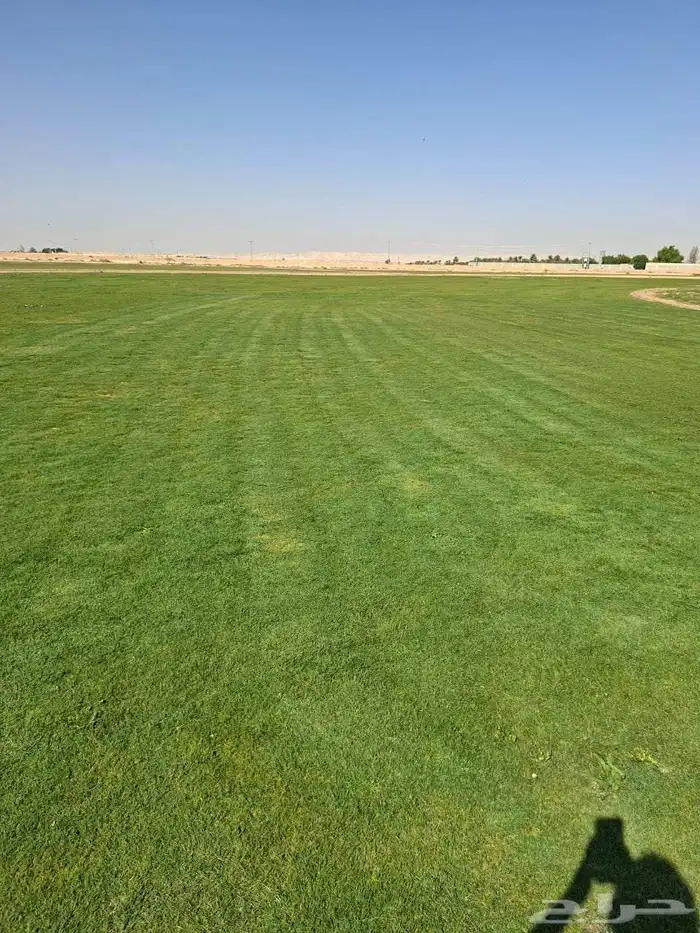 ثيل طبيعي سي الفين درجه اولي صافي من اي شي للملاعب الحدايق 1