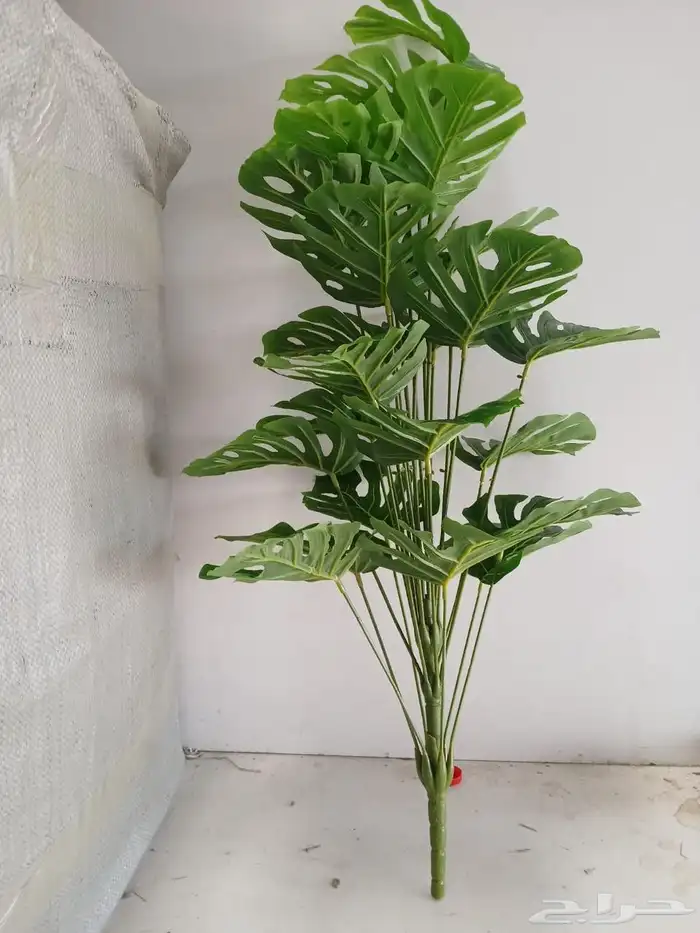 تنسيق حدائق القصيم عشب صناعي عشب طبيعي غرف زجاجيه 7