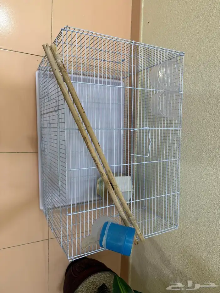 قفص عصافير الحب 3