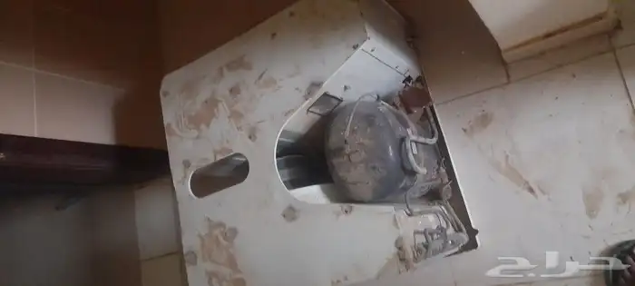 ابوعريش العسيلة 0