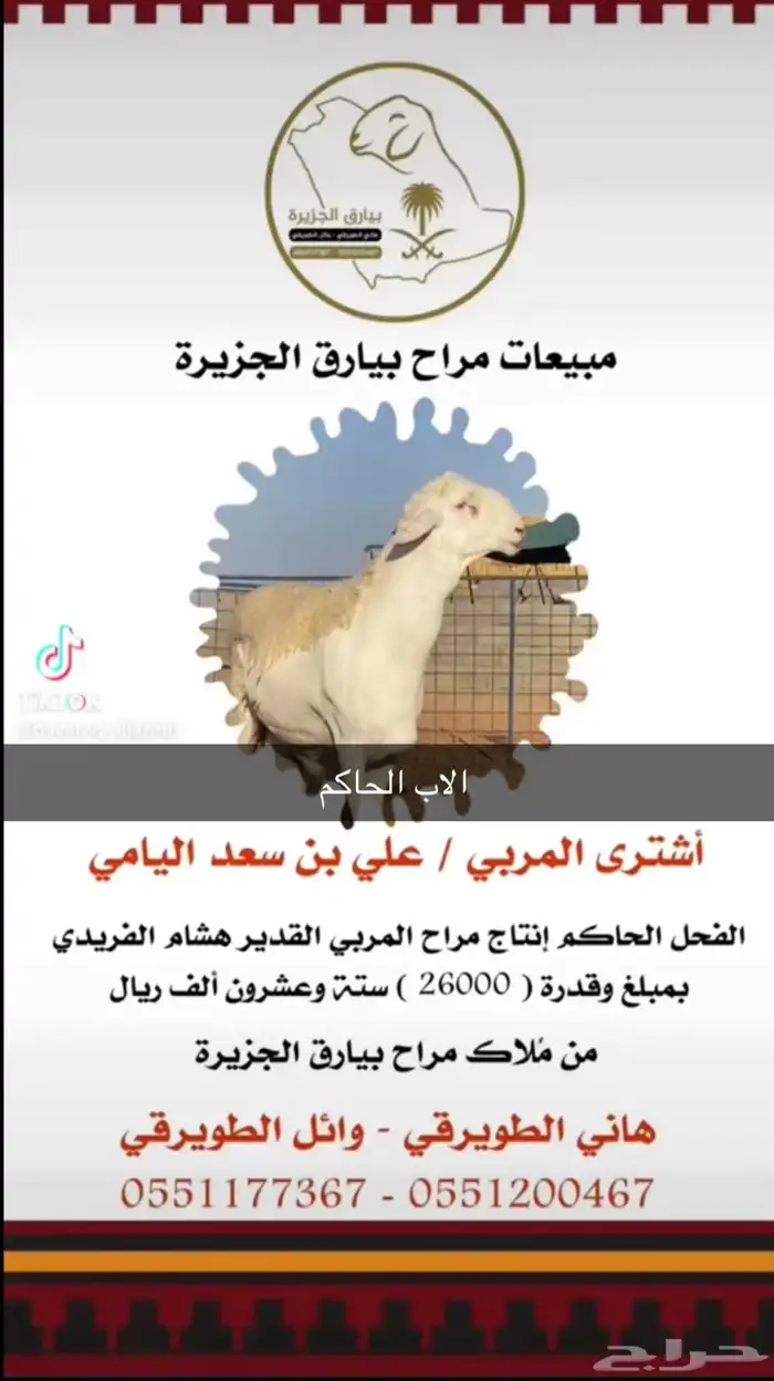 فحل نادر من اندر فحول الساحة 16