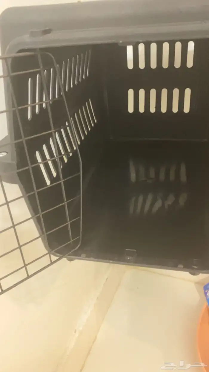 اغراض قطط للبيع 2