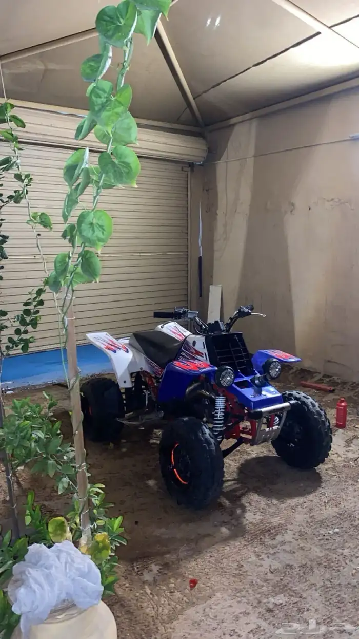 دباب بانشي 3