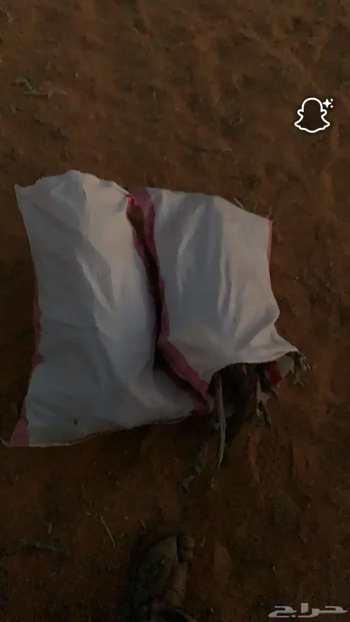 سلام عليكم الي يبي اخياش أ. ر. ط. ا. 0