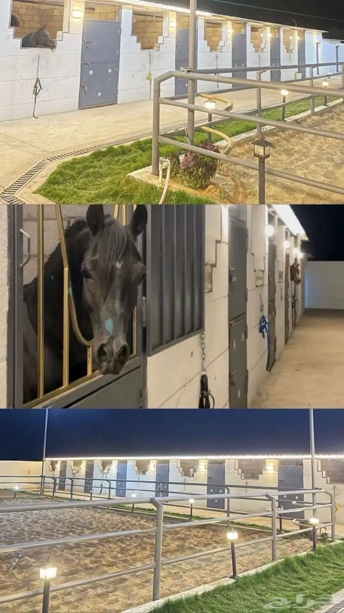 مربط السحابه للايواء 1